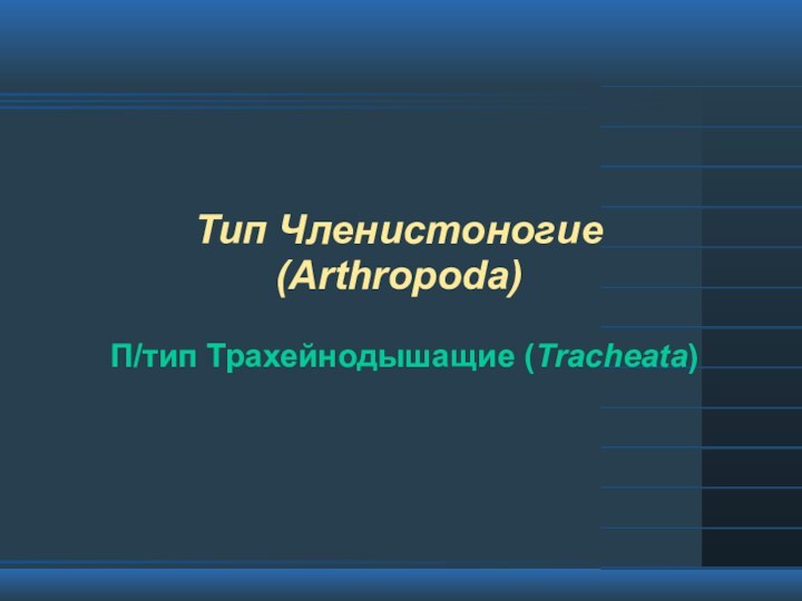 Тип Членистоногие  (Arthropoda)П/тип Трахейнодышащие (Tracheata)