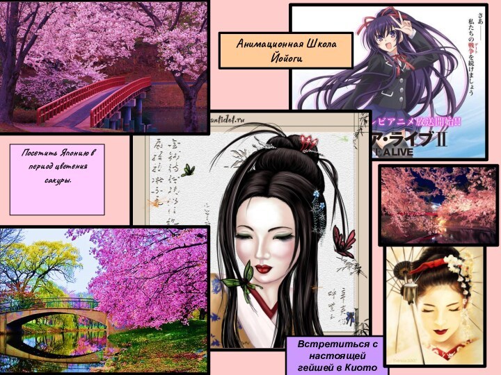 Посетить Японию в период цветения сакуры.Встретиться с настоящей гейшей в КиотоАнимационная Школа Йойоги