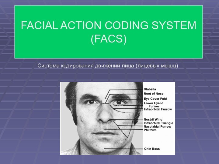 FACIAL ACTION CODING SYSTEM (FACS)Система кодирования движений лица (лицевых мышц)
