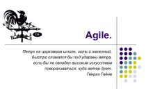 Agile. Проблемы разработки ПО