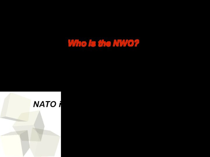 Who is the NWO?International bankers, oil barons, the United Nations, the Royal