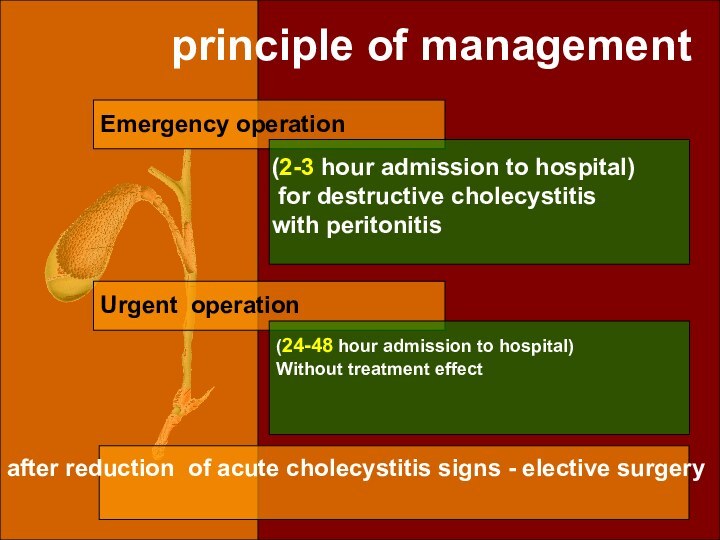 principle of managementEmergency operation(2-3 hour admission to hospital) for destructive cholecystitis with