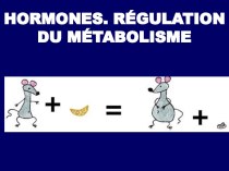 Hormones. Régulation du métabolisme
