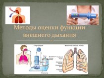 Методы оценки функции внешнего дыхания