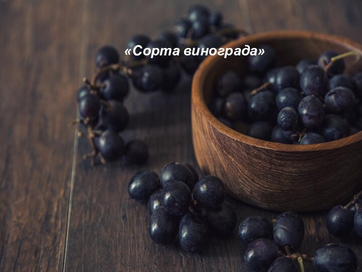 «Сорта винограда»