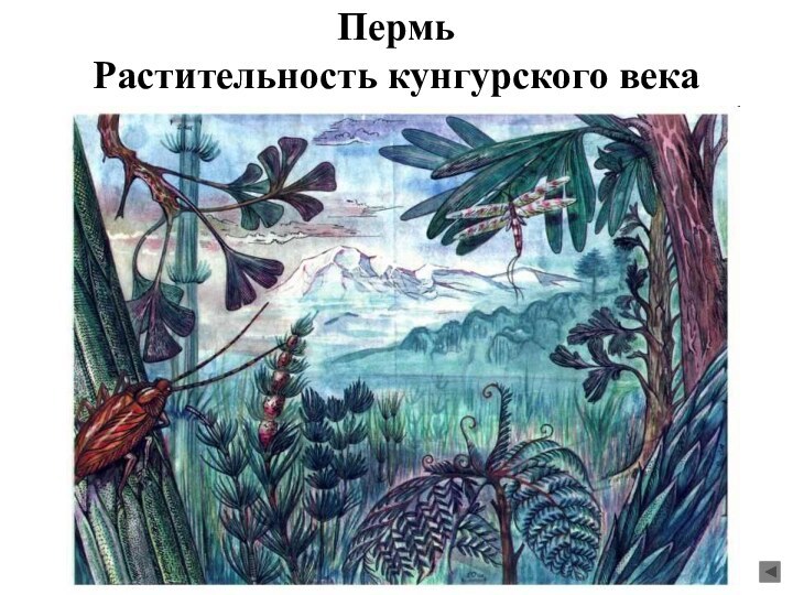 Пермь  Растительность кунгурского века