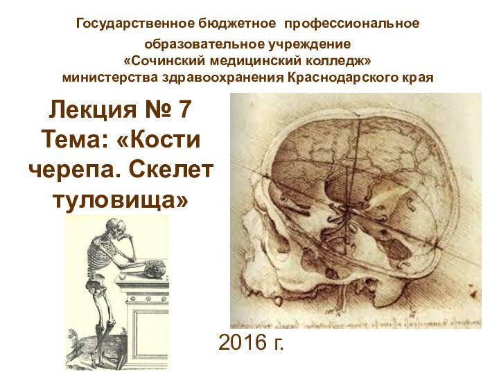 Лекция № 7 Тема: «Кости черепа. Скелет туловища»2016 г.Государственное бюджетное профессиональное образовательное