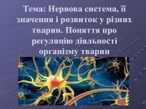 Нервова система, її значення і розвиток у різних тварин. Поняття про регуляцію діяльності організму тварин