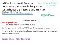 ATP – Structure & Function/ Anaerobic and Aerobic Respiration Mitochondria Structure and Function