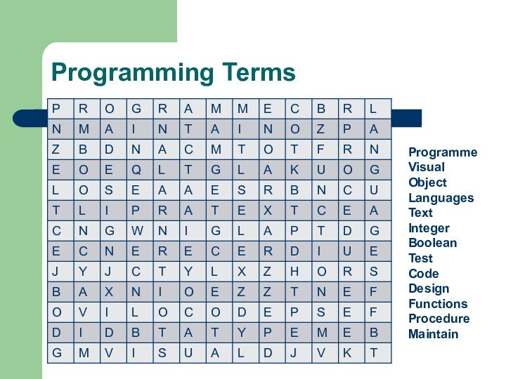 Programming TermsProgrammeVisualObjectLanguagesTextIntegerBooleanTestCodeDesignFunctionsProcedureMaintain