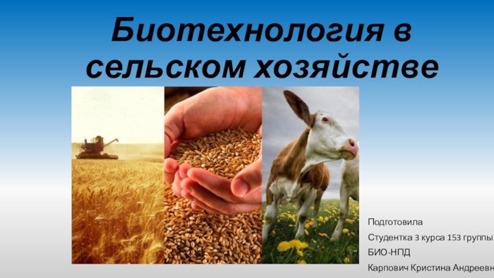 Биотехнология в сельском хозяйствеПодготовила Студентка 3 курса 153 группы БИО-НПДКарпович Кристина Андреевна