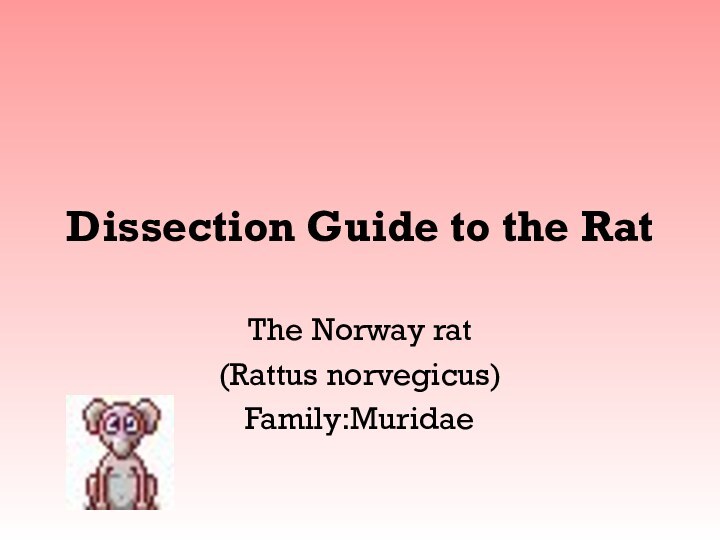 Dissection Guide to the RatThe Norway rat (Rattus norvegicus)Family:Muridae