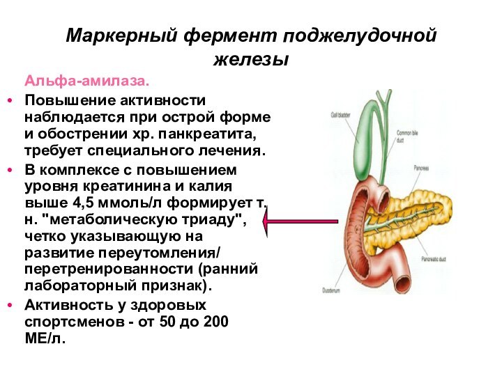 Маркерный фермент поджелудочной железыАльфа-амилаза.Повышение активности наблюдается при острой форме и обострении хр.