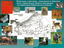 Животные и растения, занесенные в Красную книгу Саратовской области обитающие на территории Марксовского района