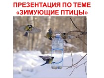 Зимующие птицы 2