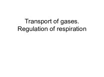 Transport of gases. Regulation of respiration
