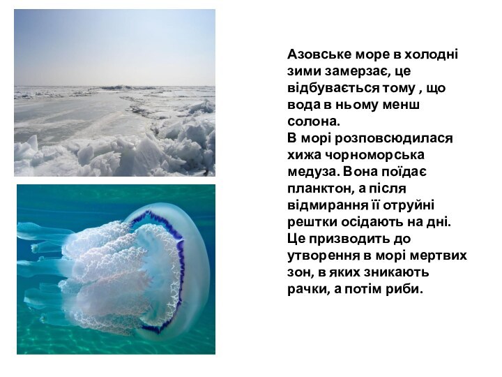 Азовське море в холодні зими замерзає, це відбувається тому , що