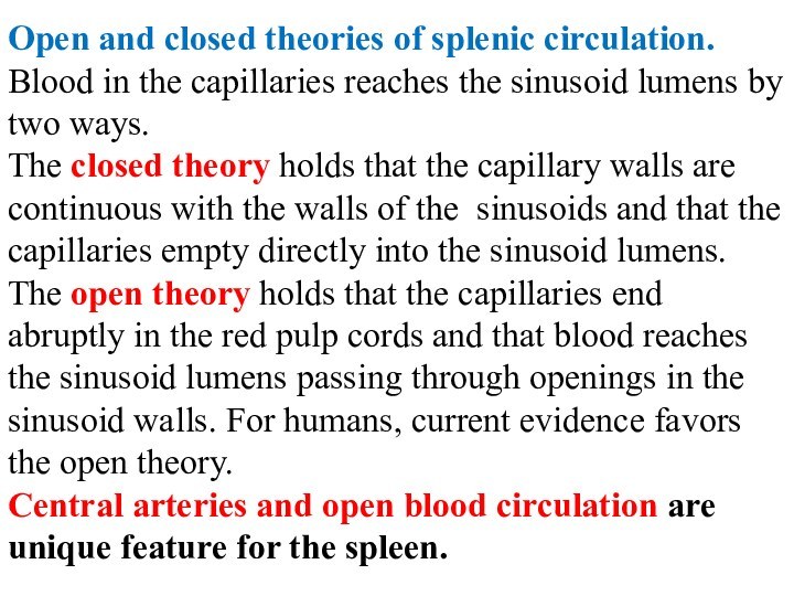Open and closed theories of splenic circulation. Blood in the capillaries reaches