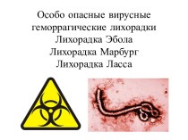 Особо опасные вирусные геморрагические лихорадки: лихорадка Эбола, лихорадка Марбург, лихорадка Ласса
