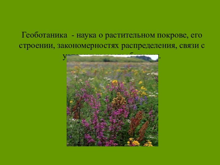 Геоботаника - наука о растительном покрове, его строении, закономерностях распределения, связи с условиями местообитания.