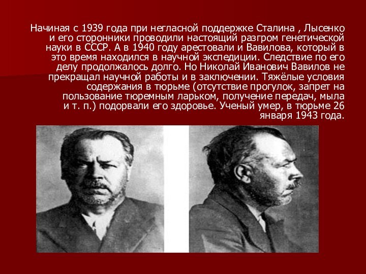 Начиная с 1939 года при негласной поддержке Сталина , Лысенко и его