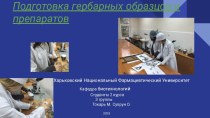 Подготовка гербарных образцов и препаратов