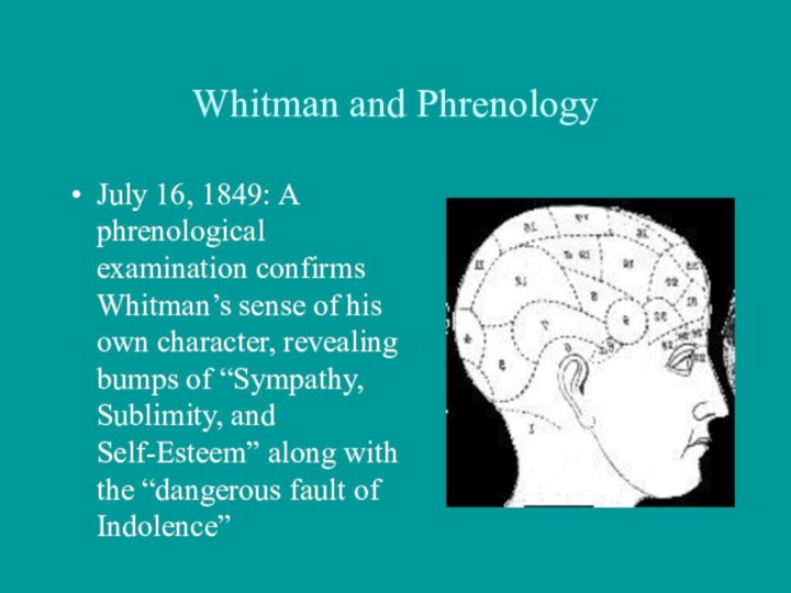 Whitman and PhrenologyJuly 16, 1849: A phrenological examination confirms Whitman’s sense of