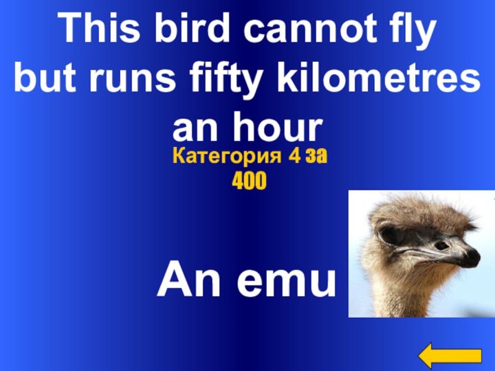 This bird cannot flybut runs fifty kilometresan hourAn emuКатегория 4 за 400
