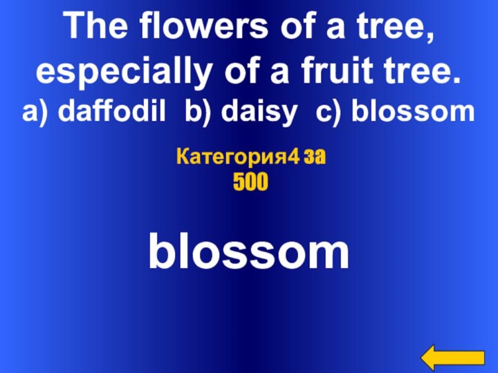 The flowers of a tree,especially of a fruit tree.a) daffodil b) daisy c) blossomblossomКатегория4 за 500