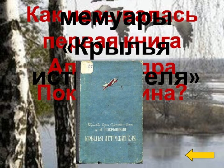 Как называлась первая книга Александра Покрышкина? мемуары «Крылья истребителя»