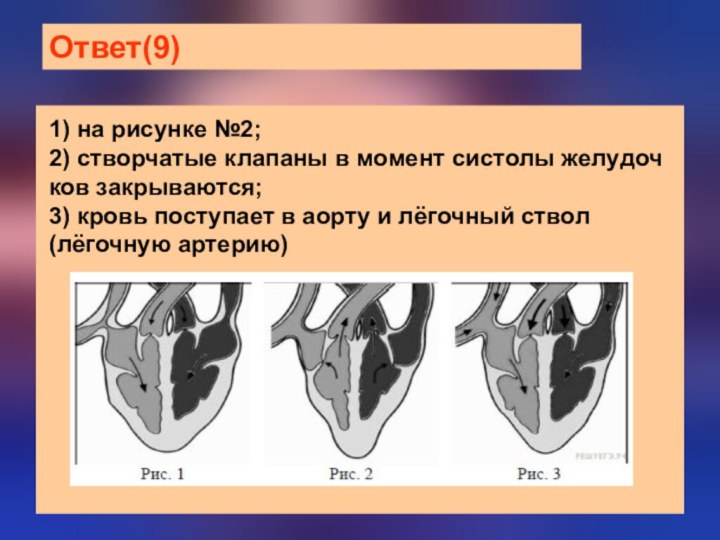 Ответ(9)1) на ри­сун­ке №2;2) створ­ча­тые клапаны в мо­мент систолы же­лу­доч­ков закрываются;3)