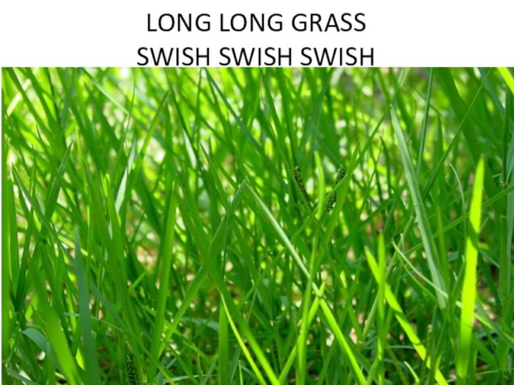 LONG LONG GRASS SWISH SWISH SWISH
