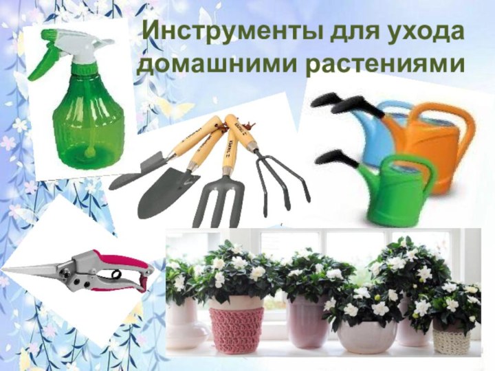 Инструменты для ухода  за домашними растениями