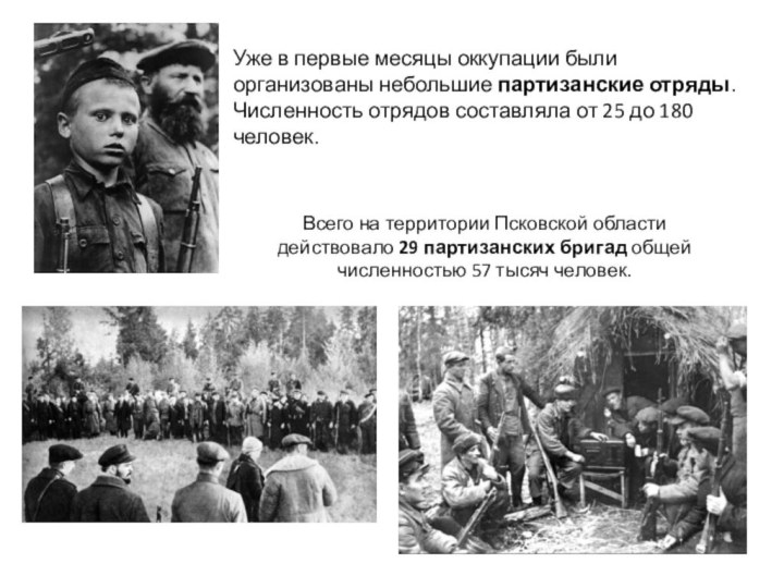 Уже в первые месяцы оккупации были организованы небольшие партизанские отряды. Численность отрядов