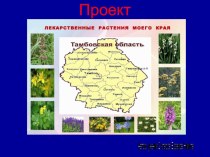Презентация по окружающему миру на тему Лекарственные растения Тамбовской области