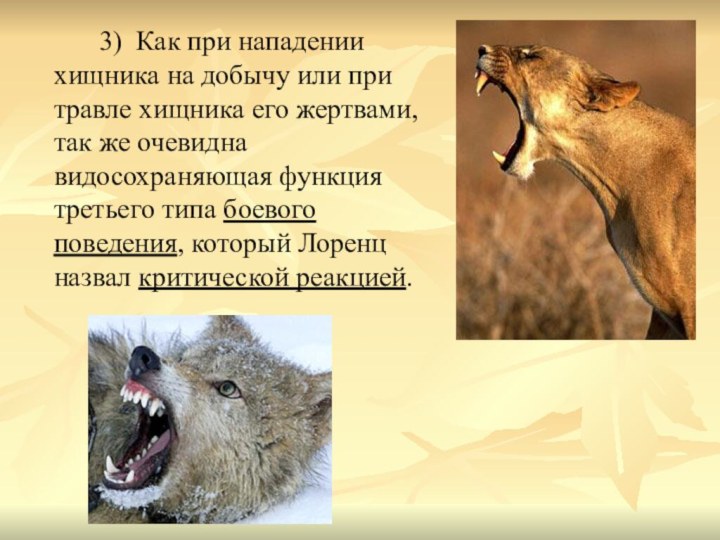 3) Как при нападении хищника на добычу или при травле хищника его