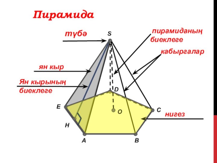 ACDEHBSтүбәкабыргаларнигезO пирамиданың биеклегеПирамидаЯн кырының биеклеге  ян кыр