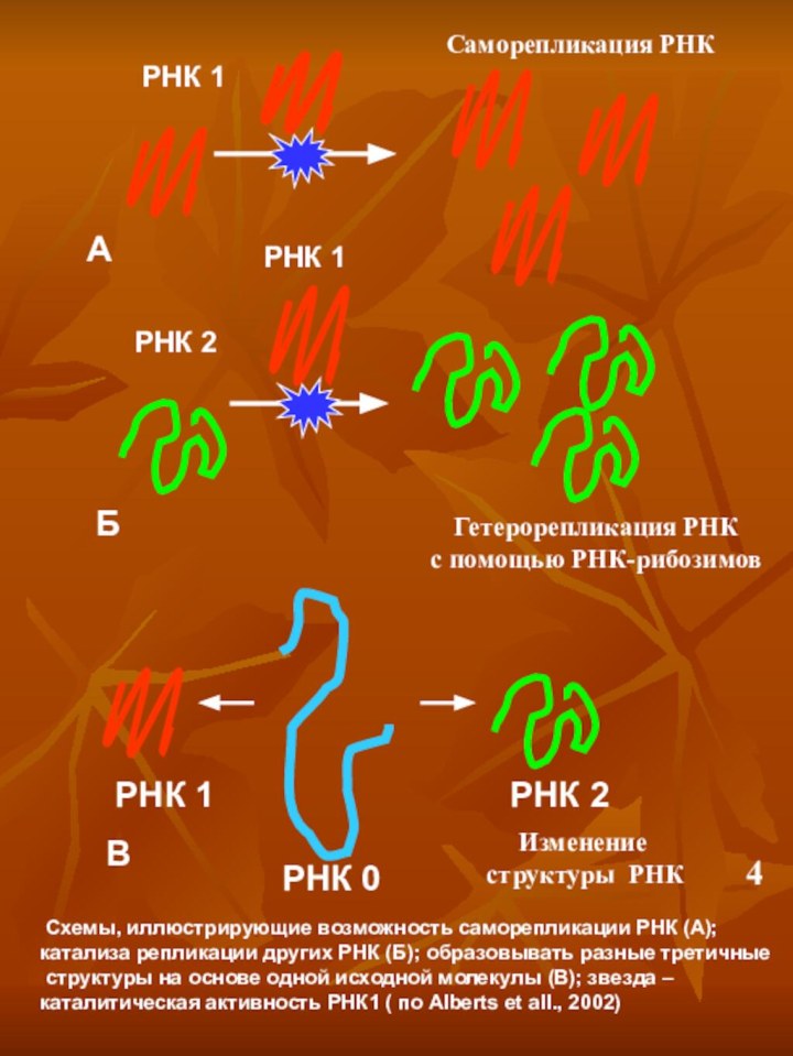 АБВ Схемы, иллюстрирующие возможность саморепликации РНК (А); катализа репликации других РНК