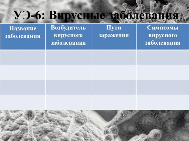 УЭ-6: Вирусные заболевания