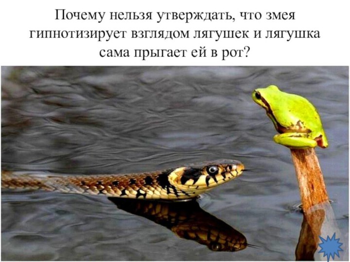 Почему нельзя утверждать, что змея гипнотизирует взглядом лягушек и лягушка сама прыгает ей в рот?