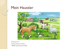 Презентация по немецкому языку Mein Haustier