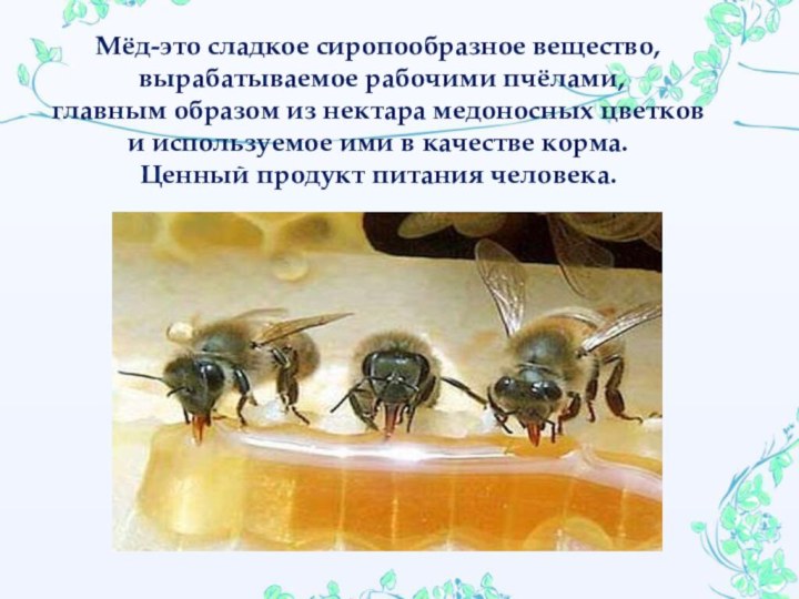 Мёд-это сладкое сиропообразное вещество,  вырабатываемое рабочими пчёлами, главным образом из нектара