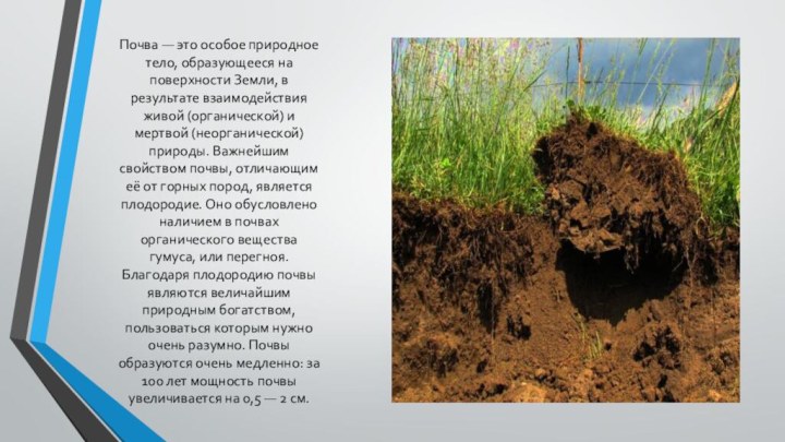 Почва — это особое природное тело, образующееся на поверхности Земли, в результате