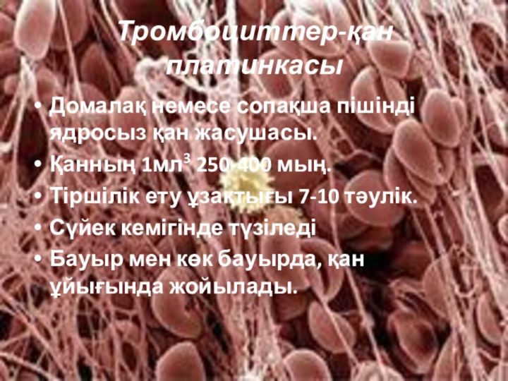 Тромбоциттер-қан платинкасыДомалақ немесе сопақша пішінді ядросыз қан жасушасы.Қанның 1мл3 250-400 мың. Тіршілік
