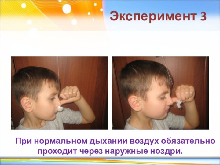 Эксперимент 3При нормальном дыхании воздух обязательно проходит через наружные ноздри.