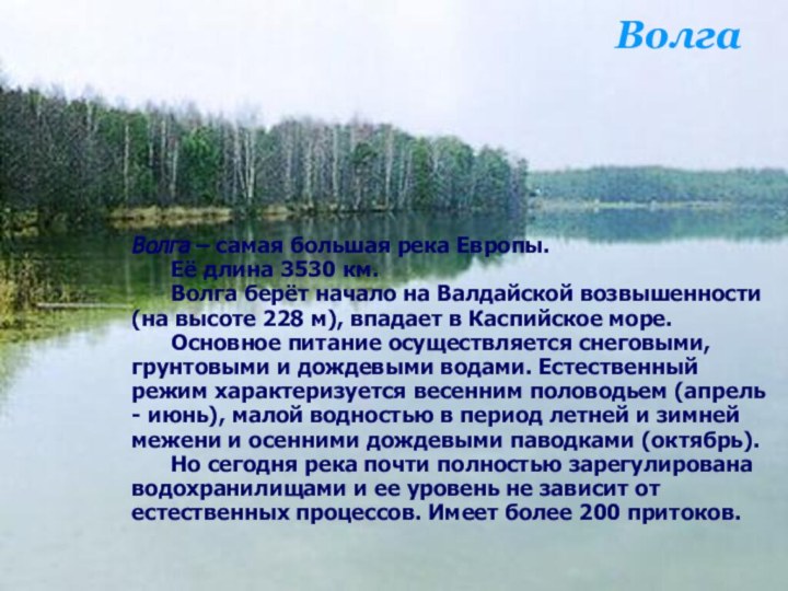Волга – самая большая река Европы. 	Её длина 3530 км.	Волга берёт начало