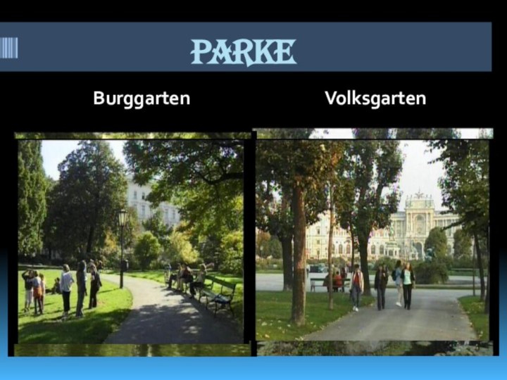 ParkeBurggartenVolksgarten