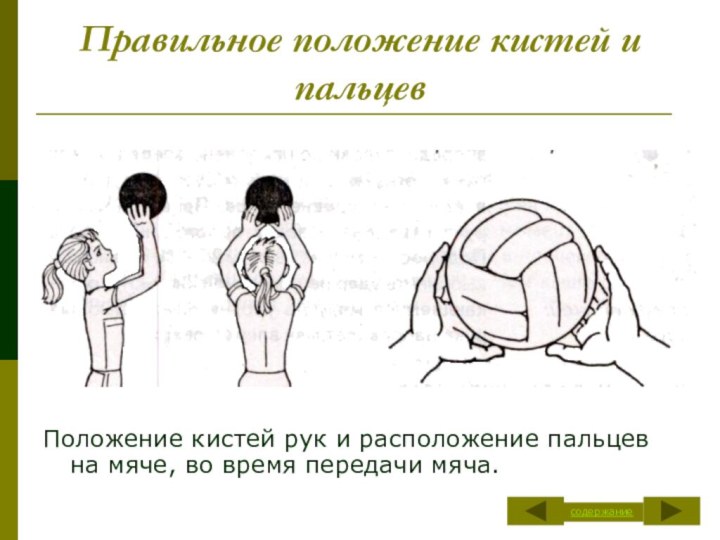 Правильное положение кистей и пальцевПоложение кистей рук и расположение пальцев на мяче, во время передачи мяча.содержание