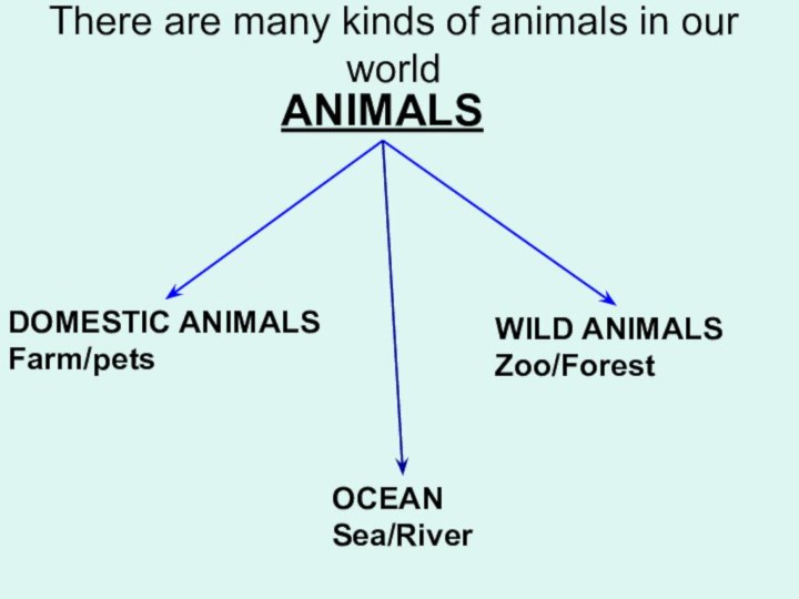 ANIMALSDOMESTIC ANIMALSFarm/petsWILD ANIMALSZoo/ForestOCEANSea/RiverThere are many kinds of animals in our world