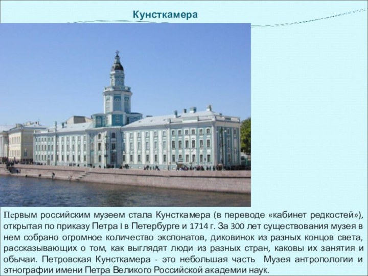 Кунсткамера Первым российским музеем стала Кунсткамера (в переводе «кабинет редкостей»), открытая